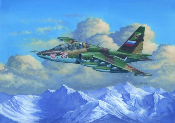 SU-25 UB FROGFOOT B